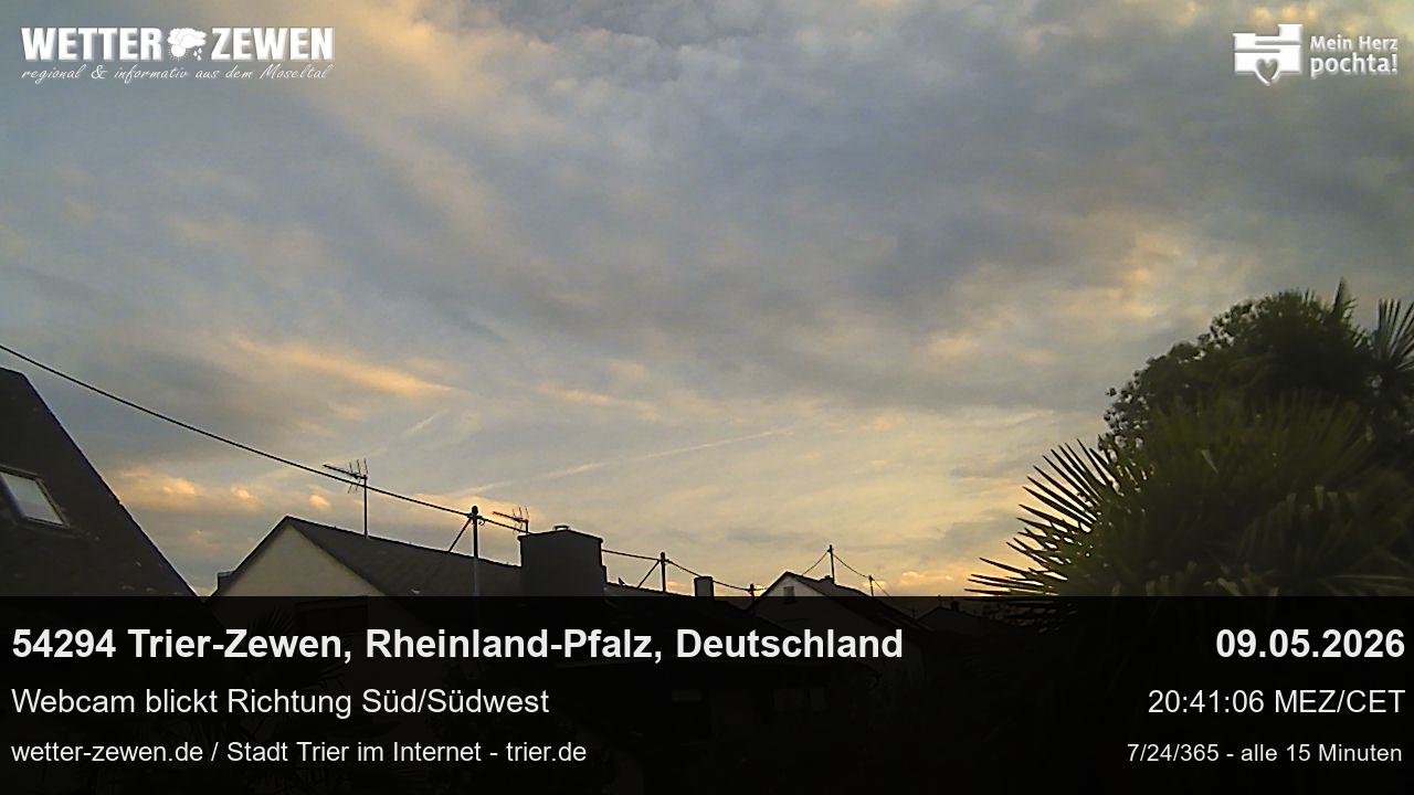 Bild