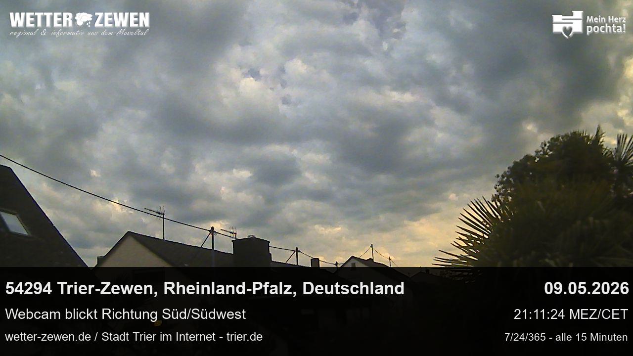 Bild