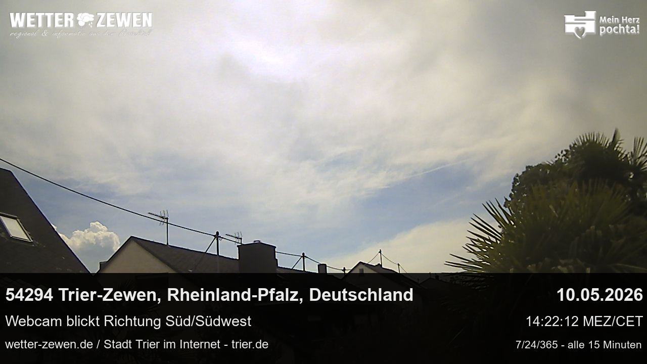 Bild