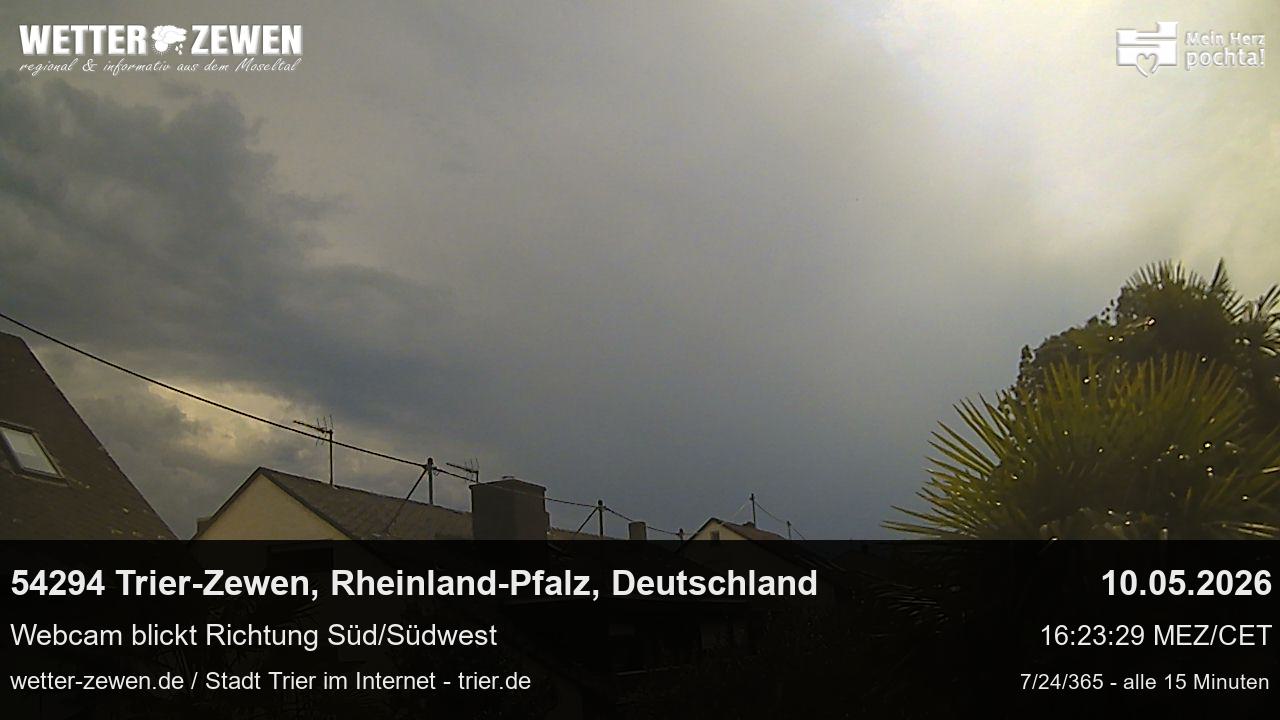 Bild