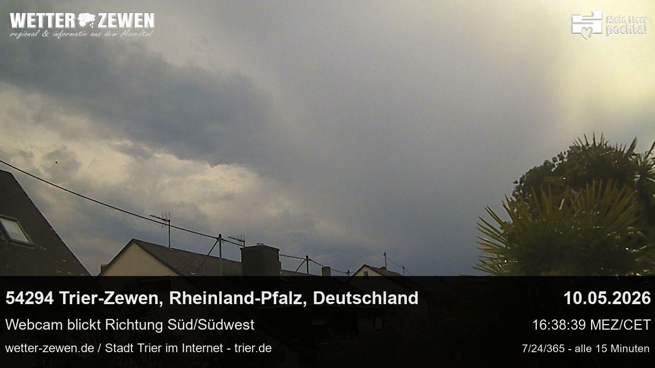Bild