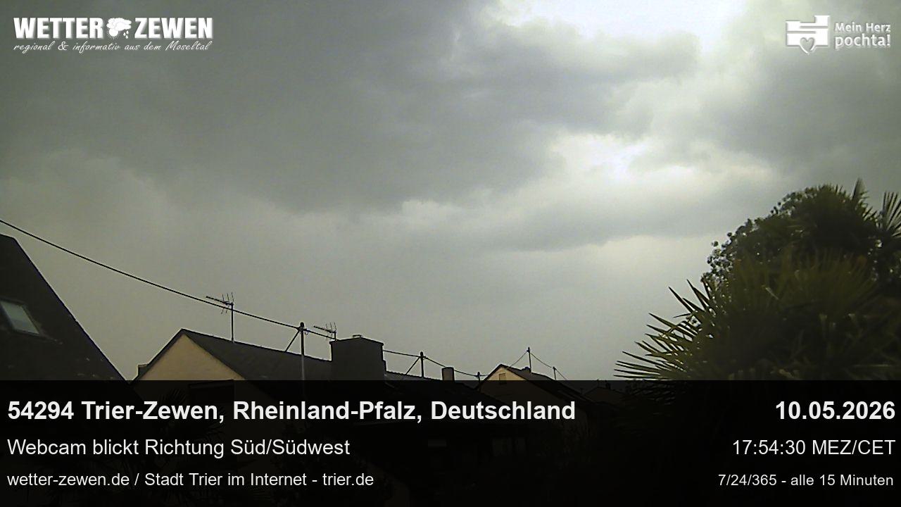 Bild