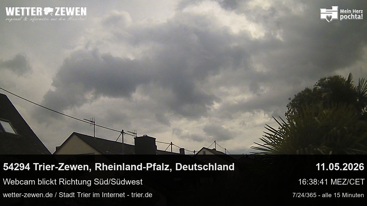Bild