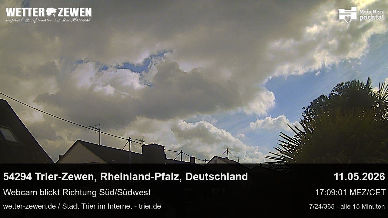 Bild