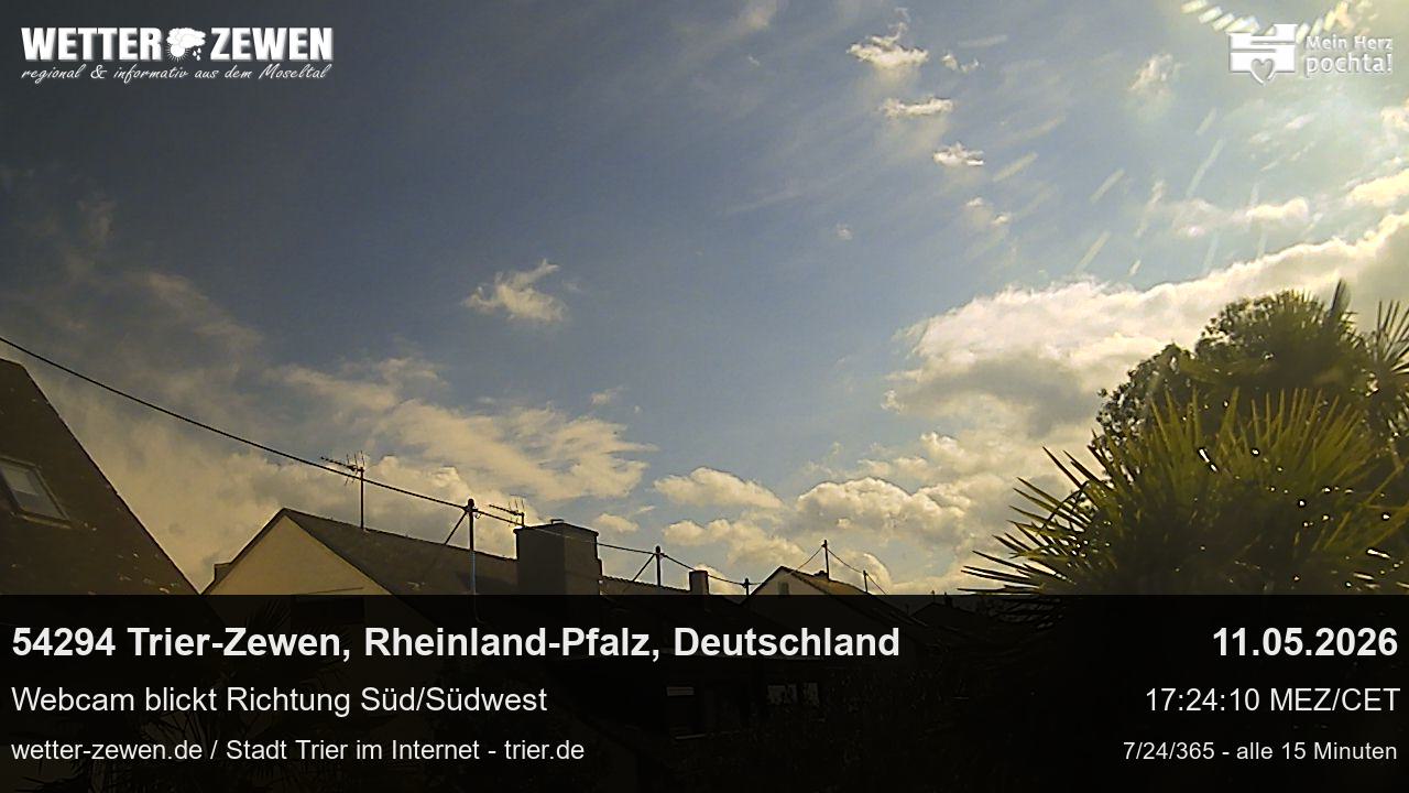 Bild