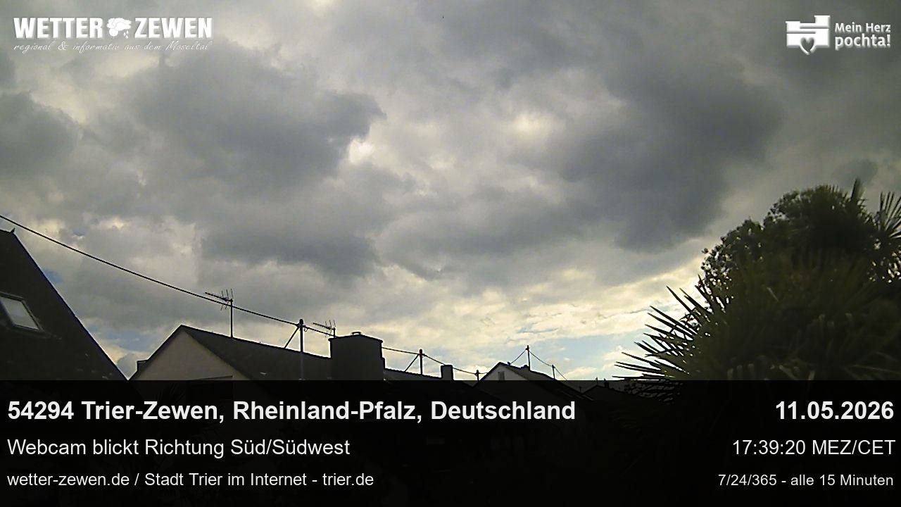 Bild