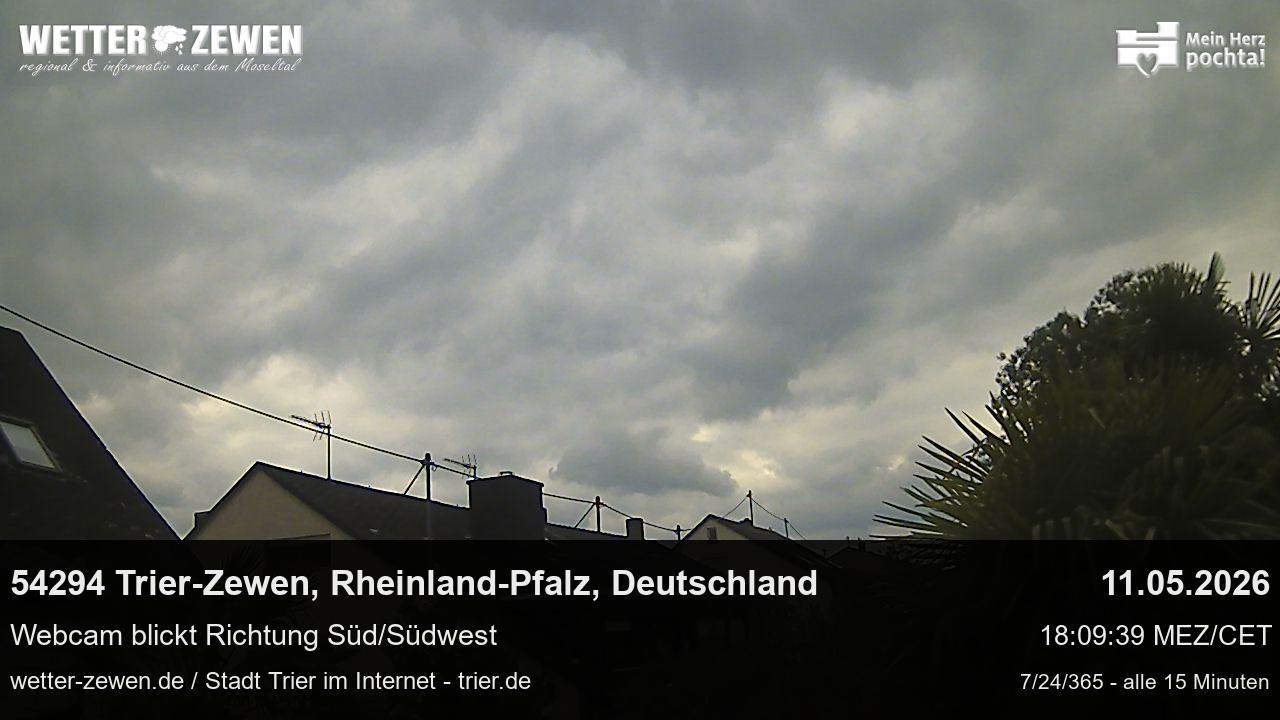 Bild