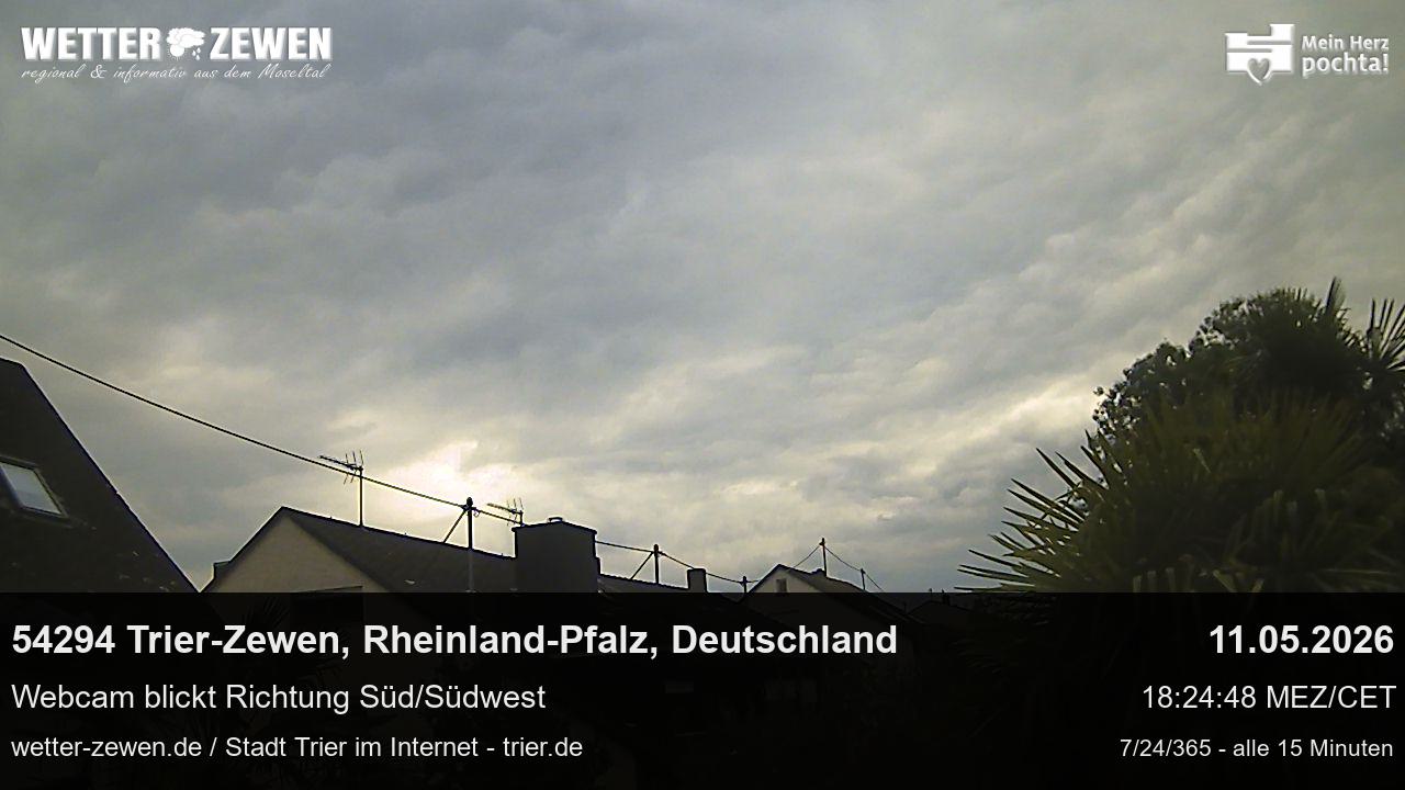Bild