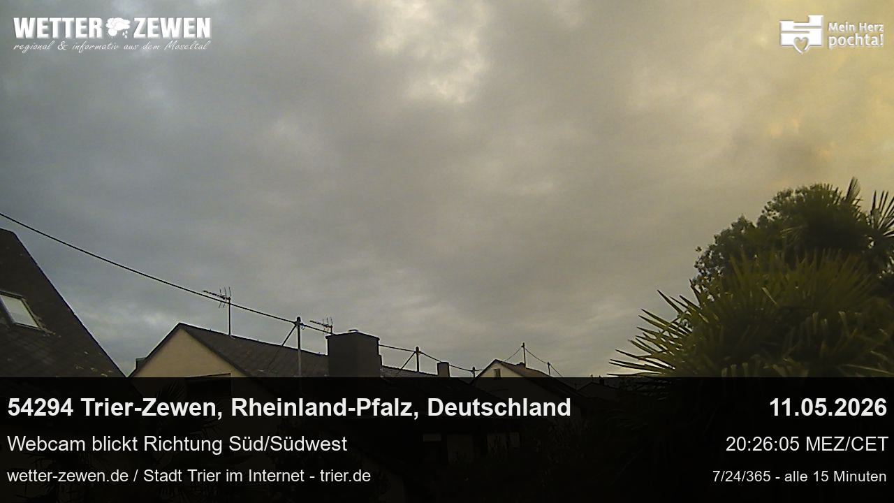 Bild