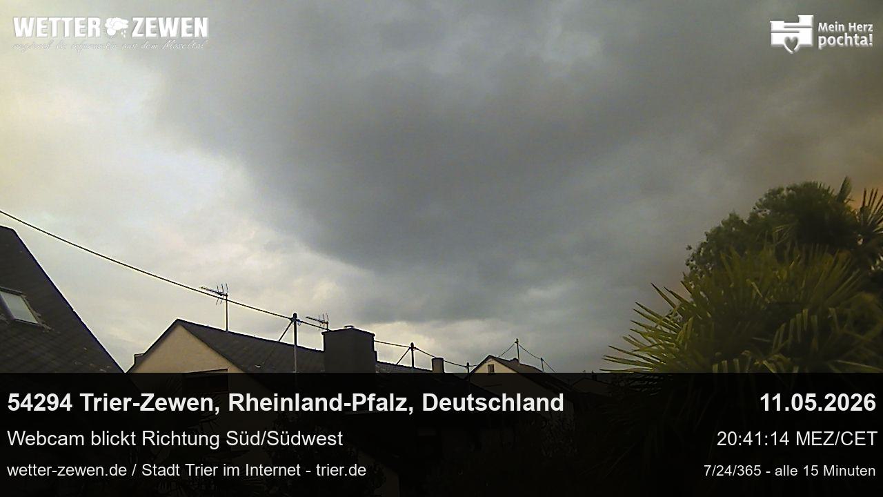 Bild