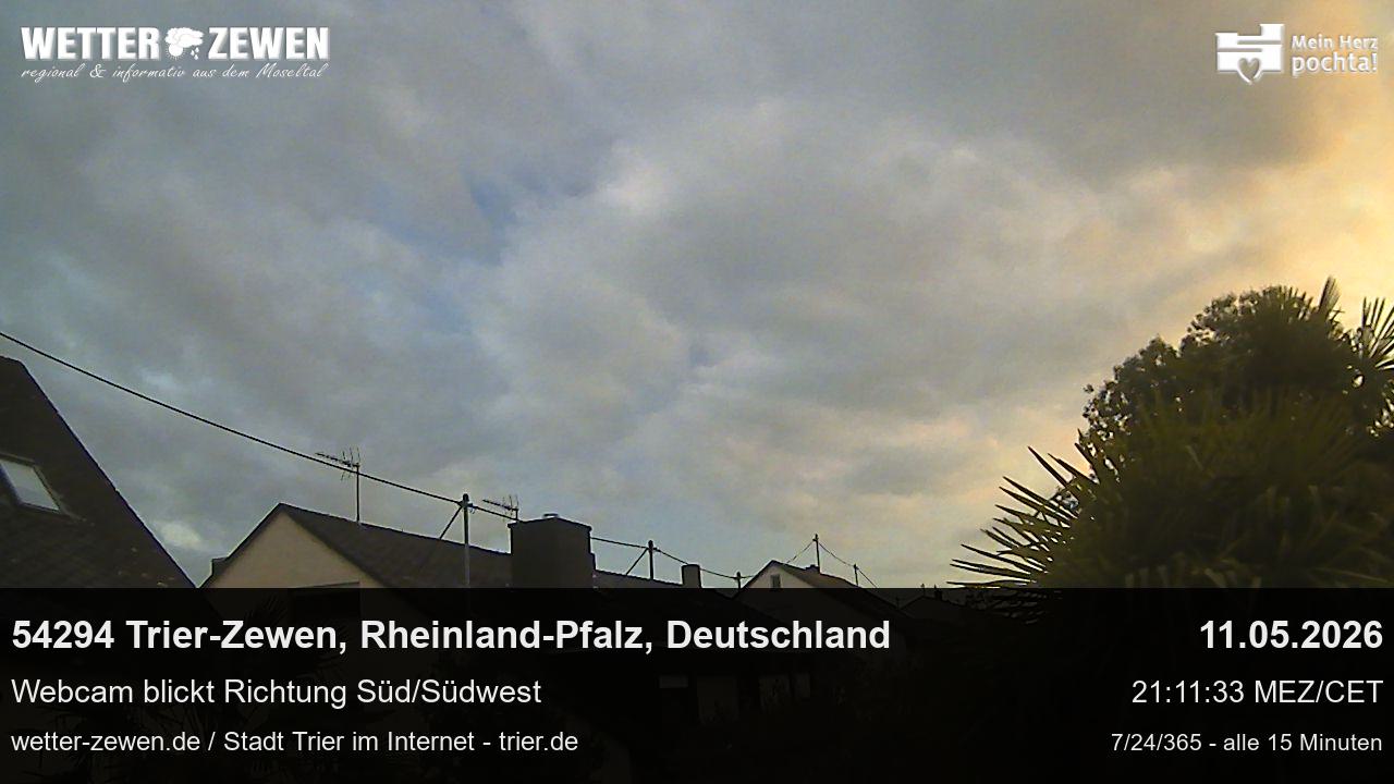 Bild