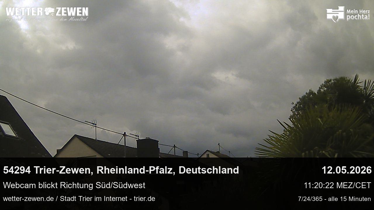 Bild