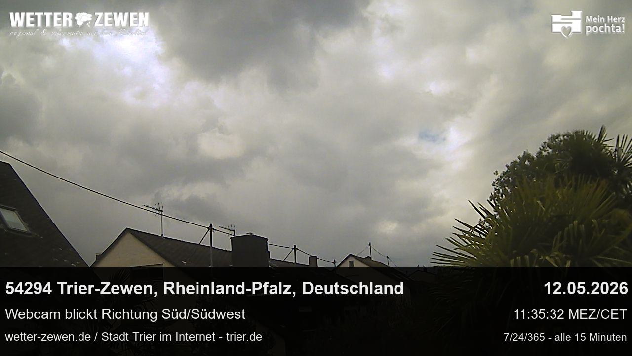 Bild