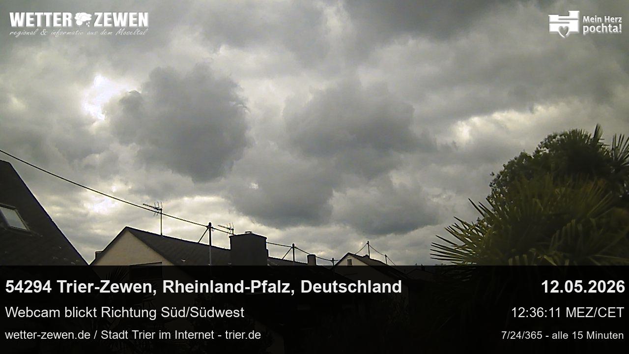 Bild