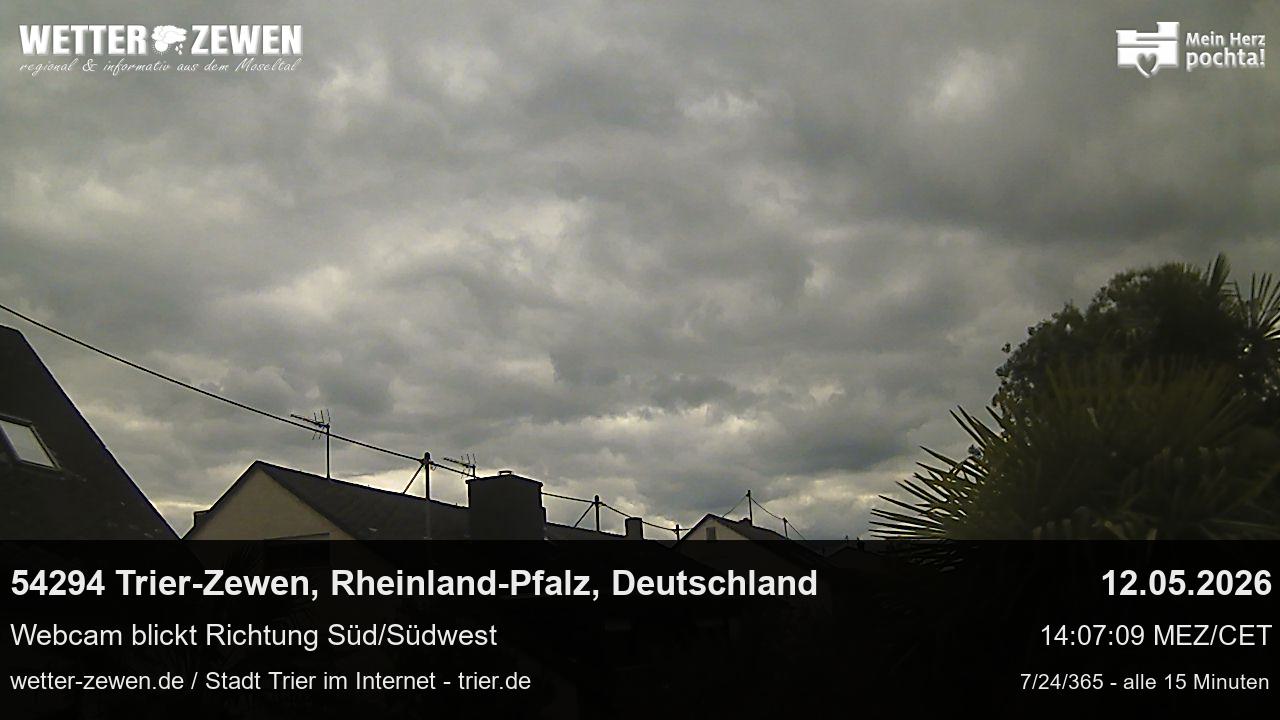 Bild