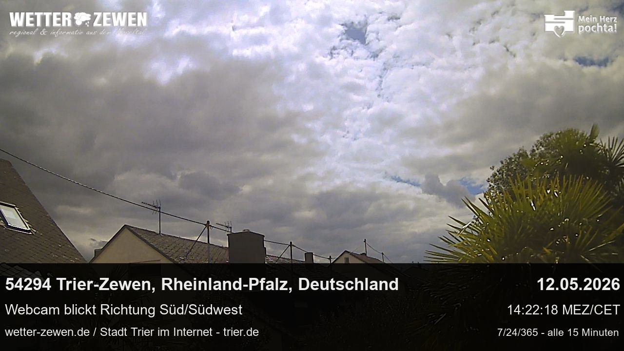 Bild