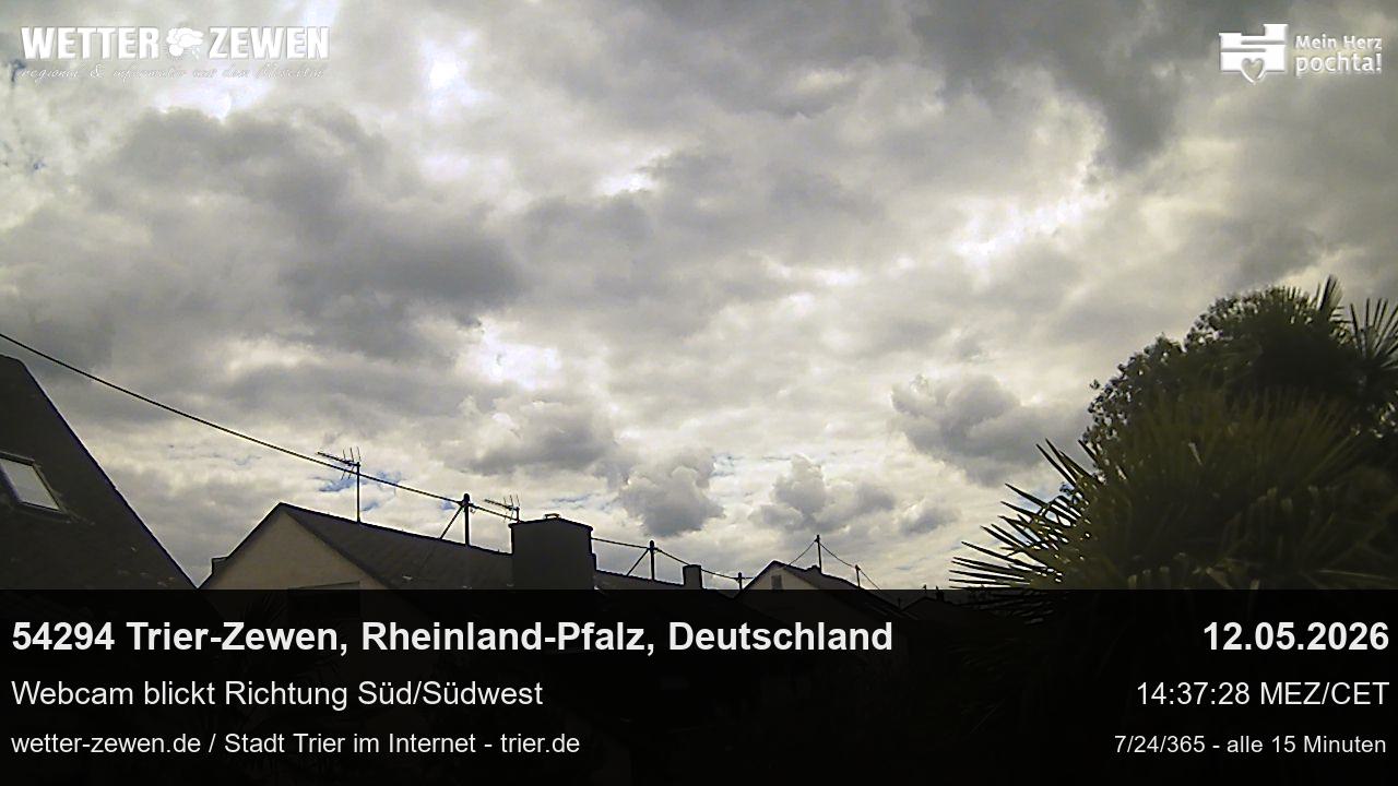 Bild