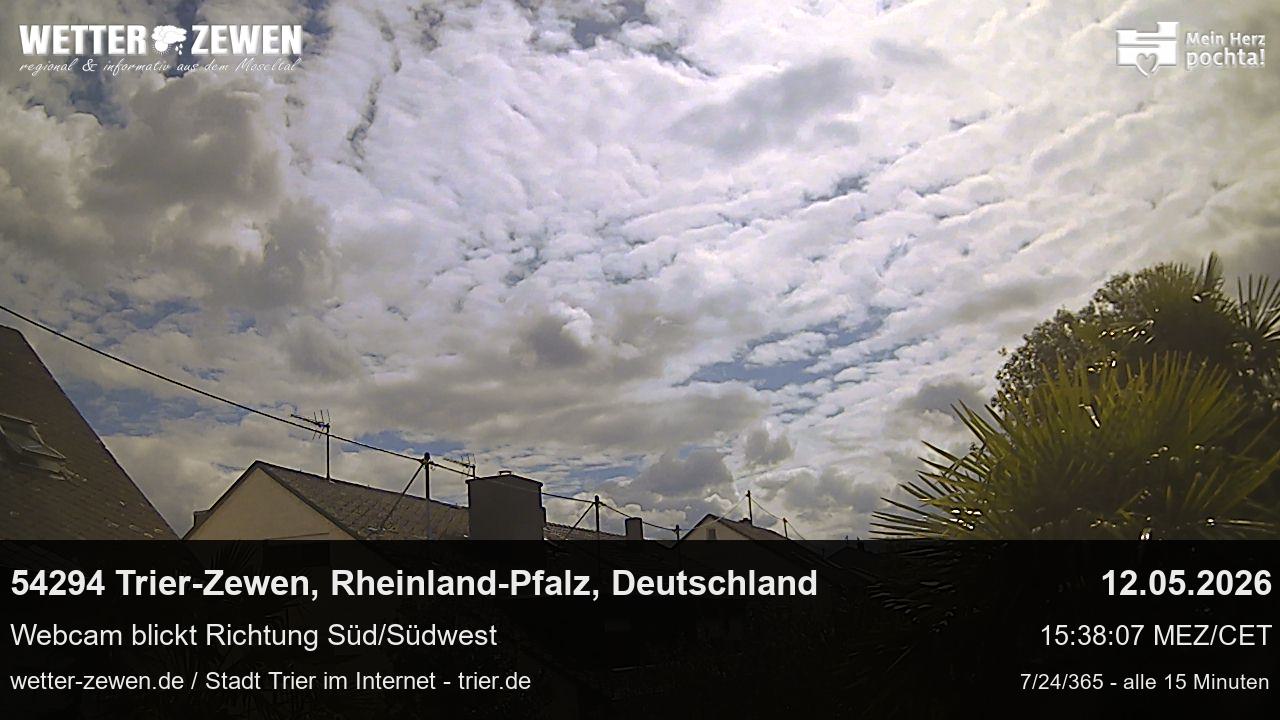 Bild