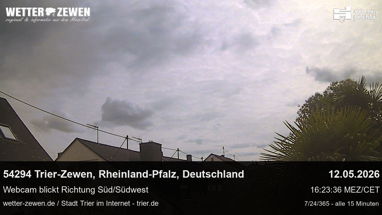 Bild