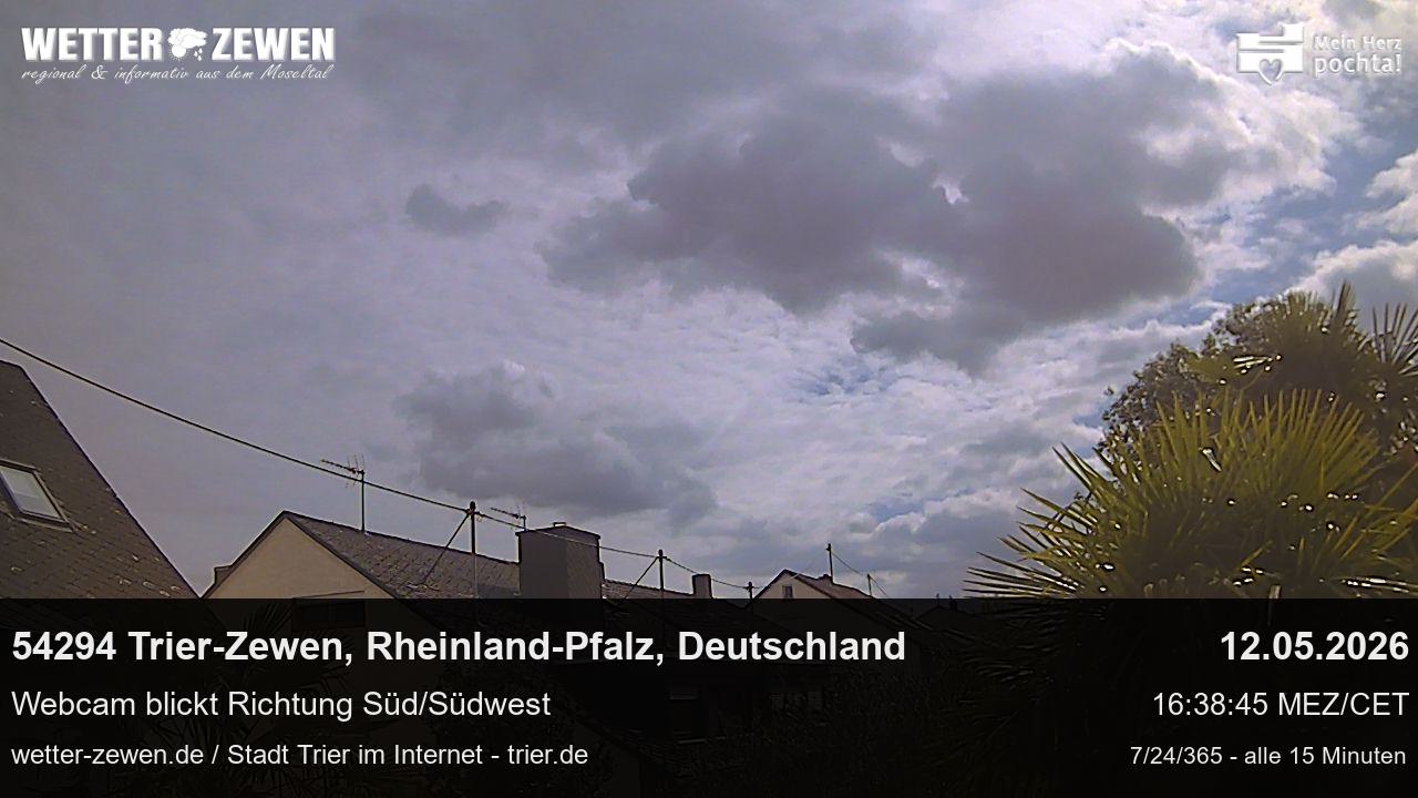 Bild