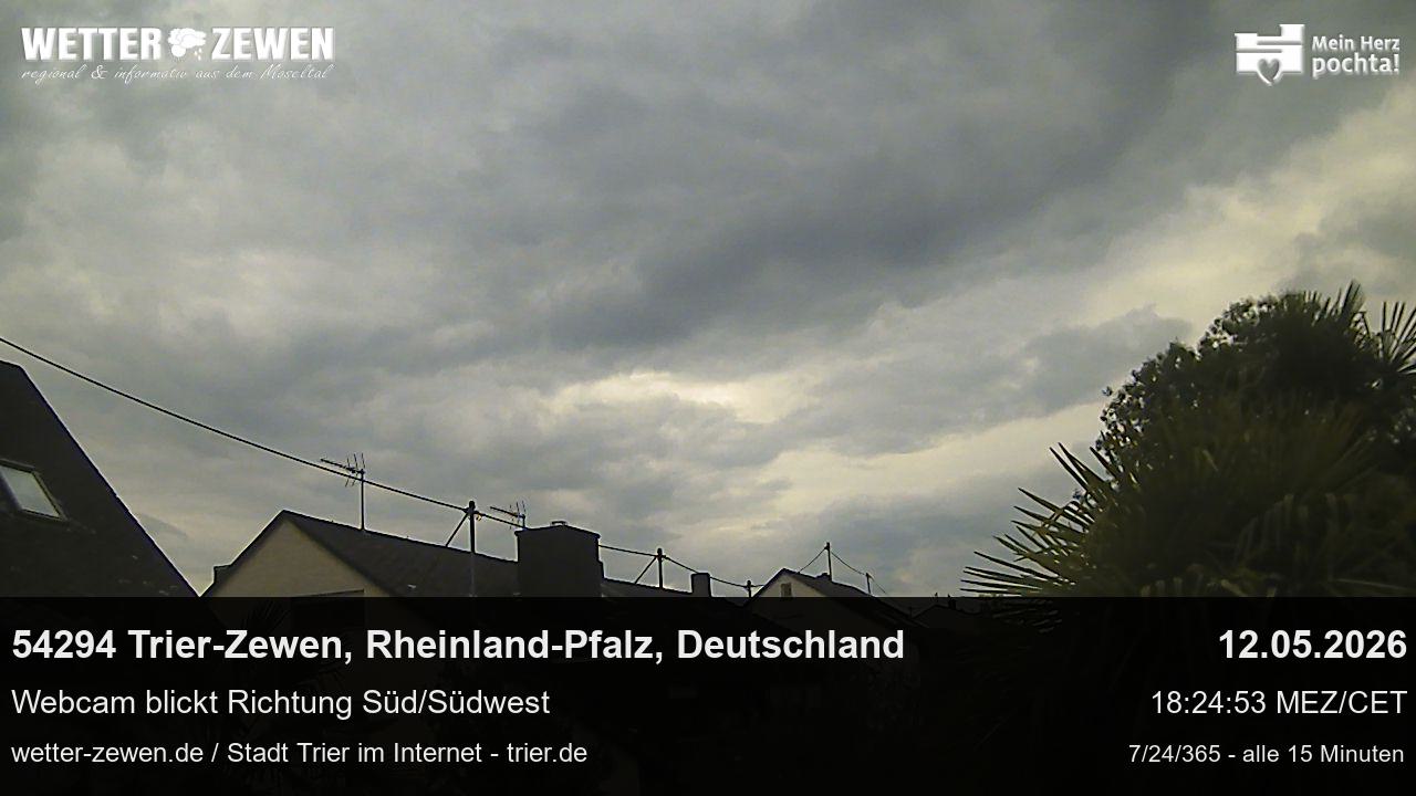 Bild