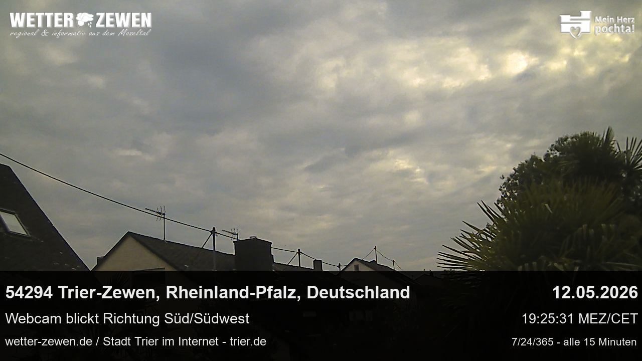 Bild