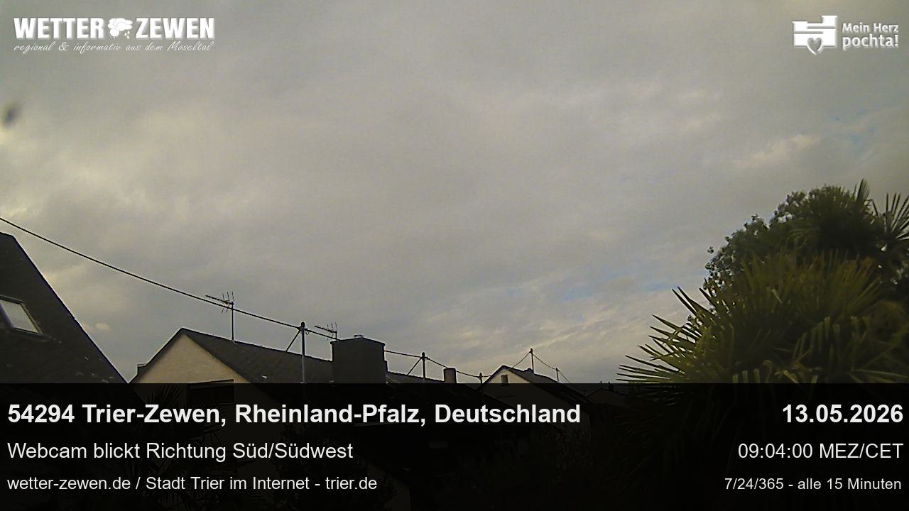 Bild
