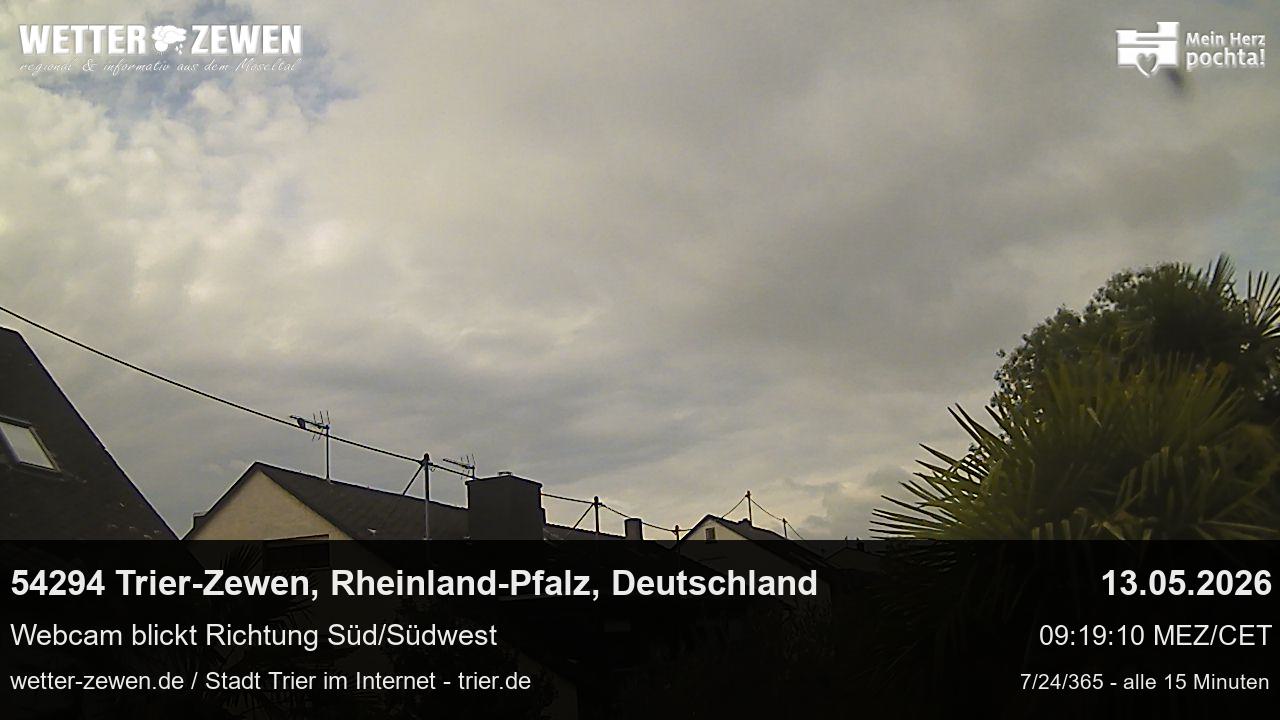 Bild