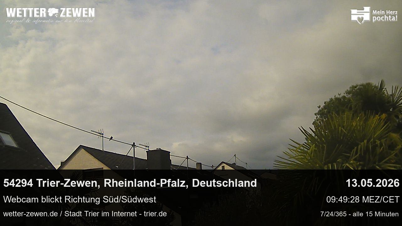 Bild