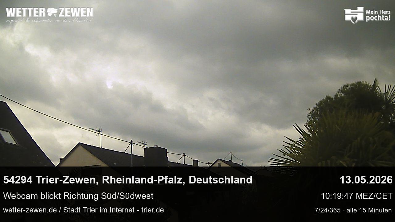 Bild