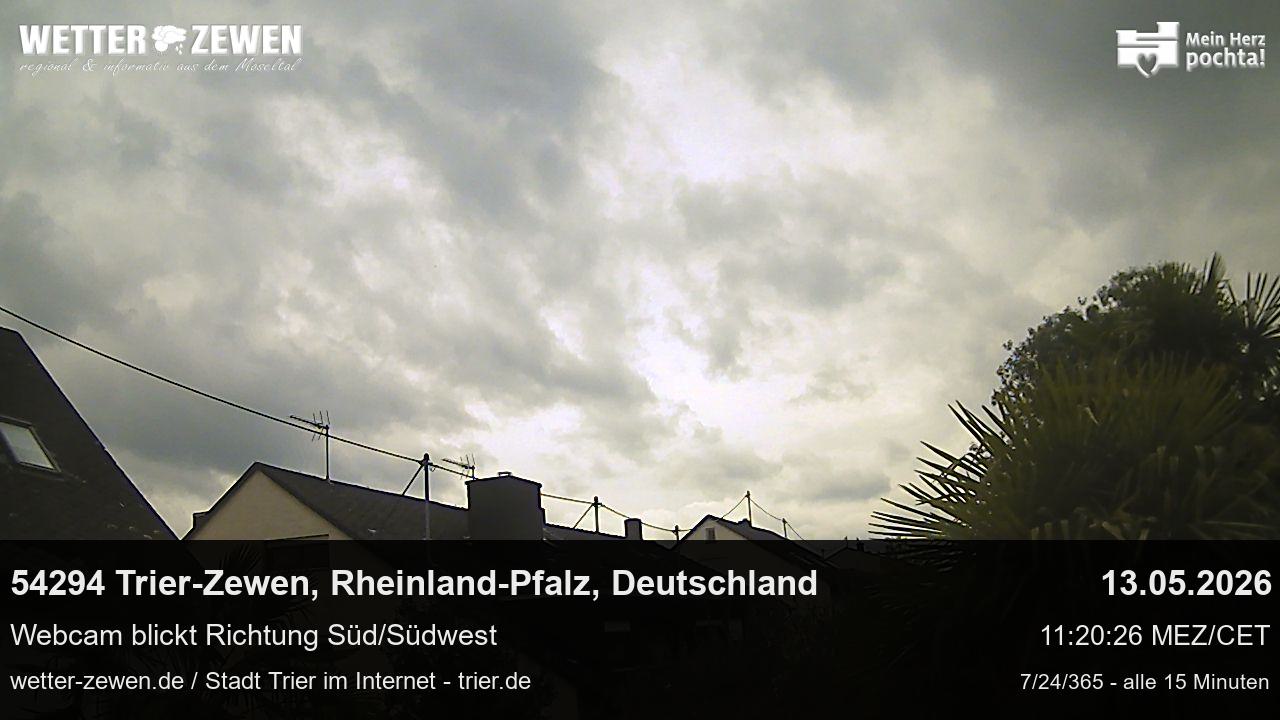 Bild