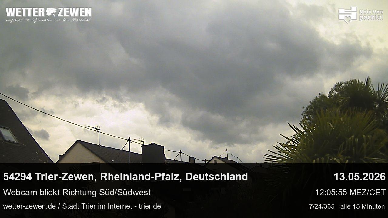 Bild