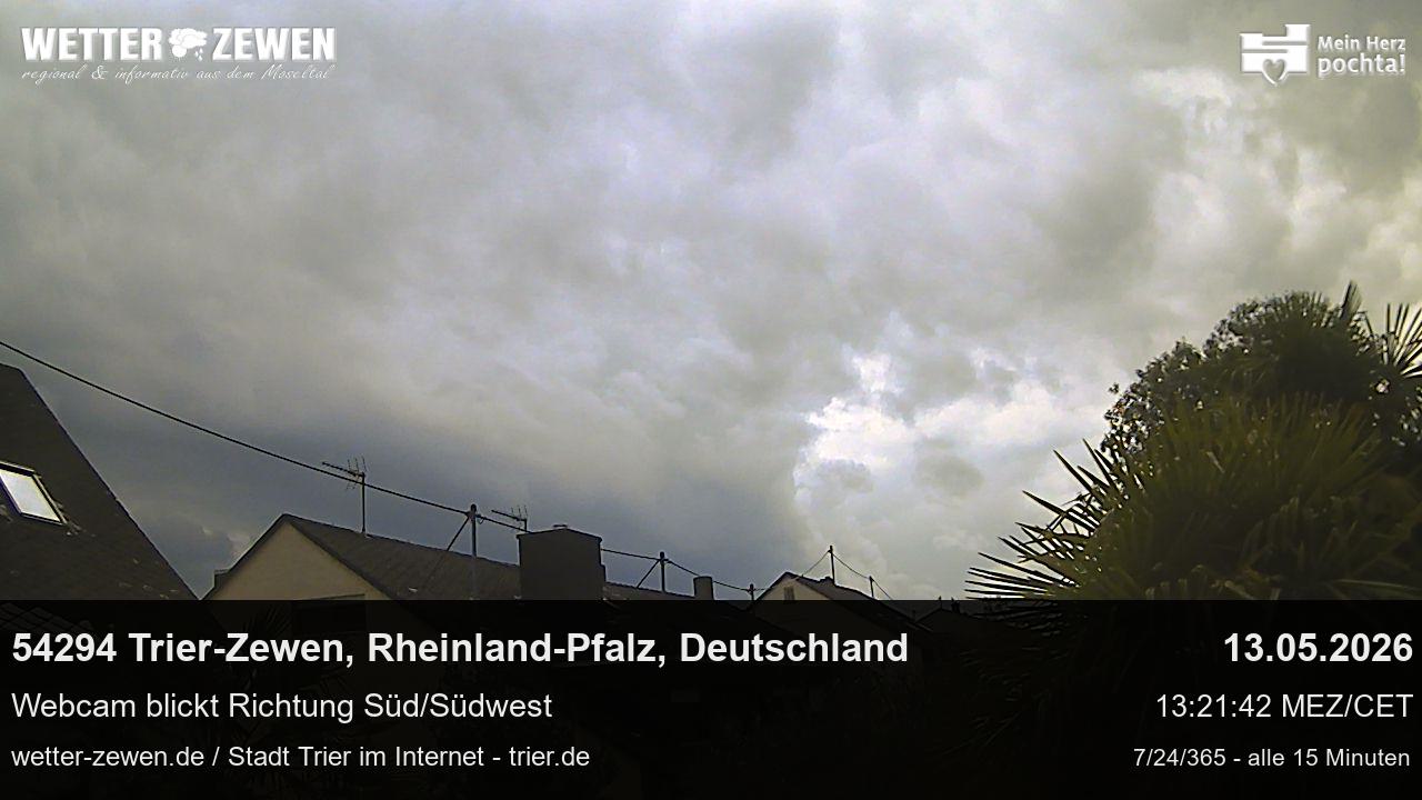 Bild