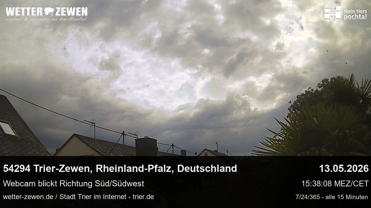 Bild