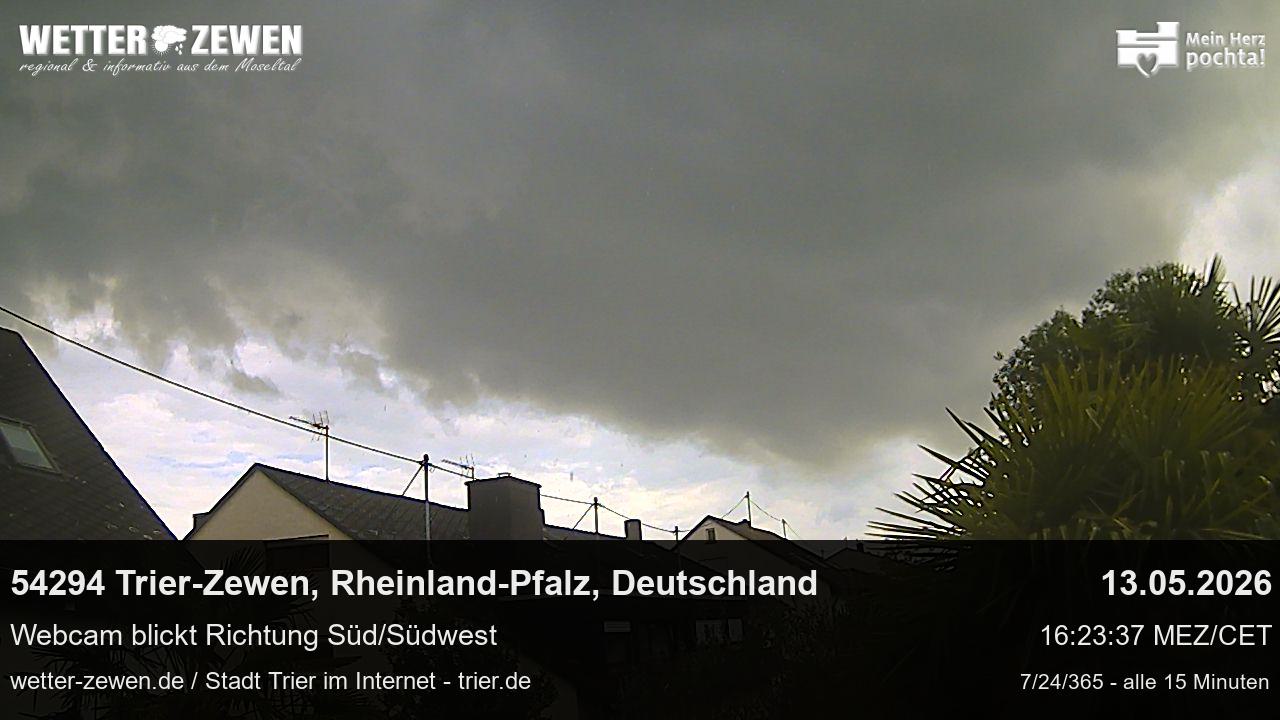 Bild