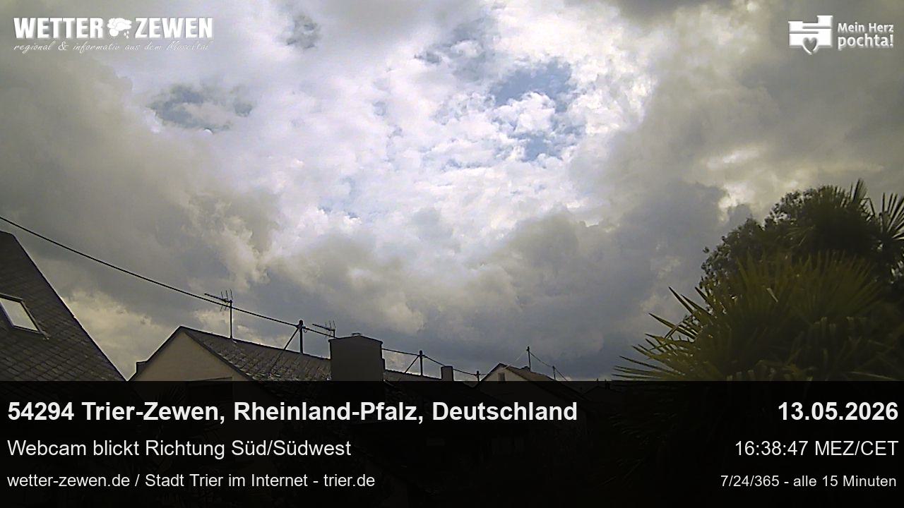 Bild