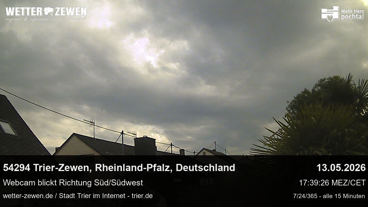 Bild