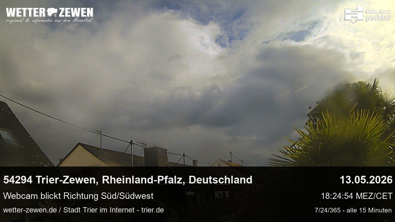 Bild