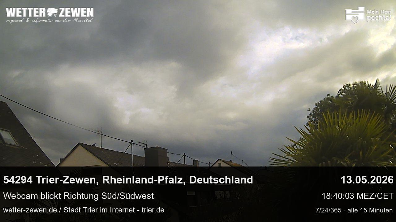 Bild