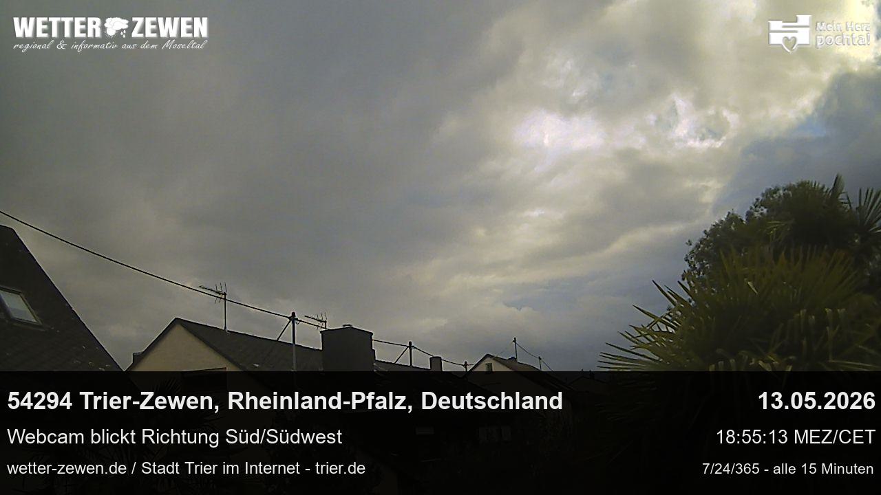 Bild