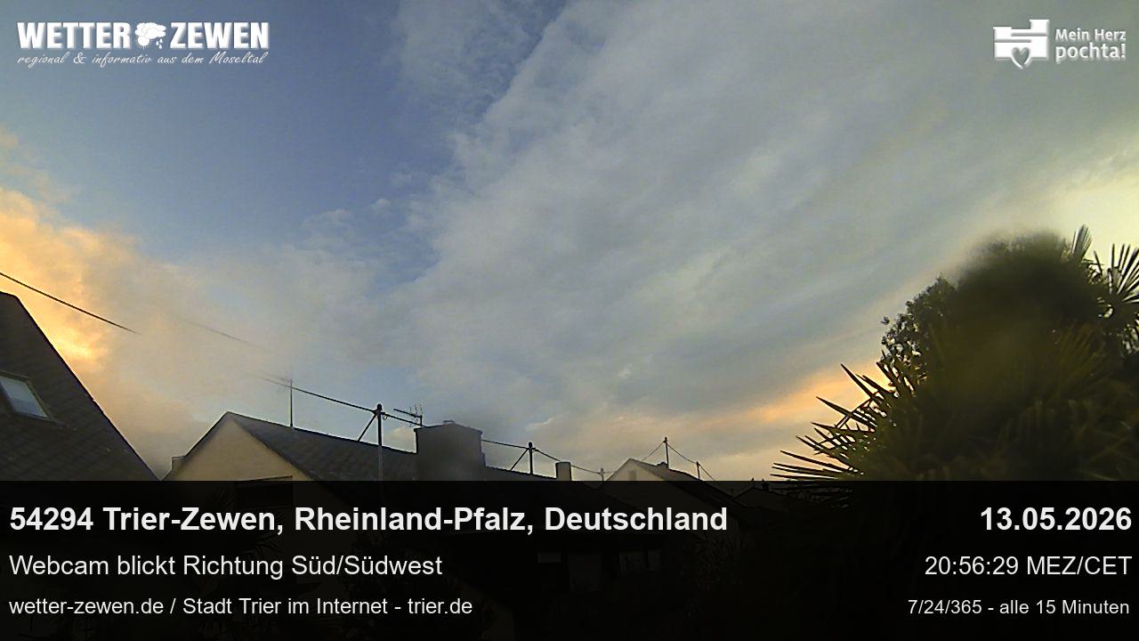 Bild