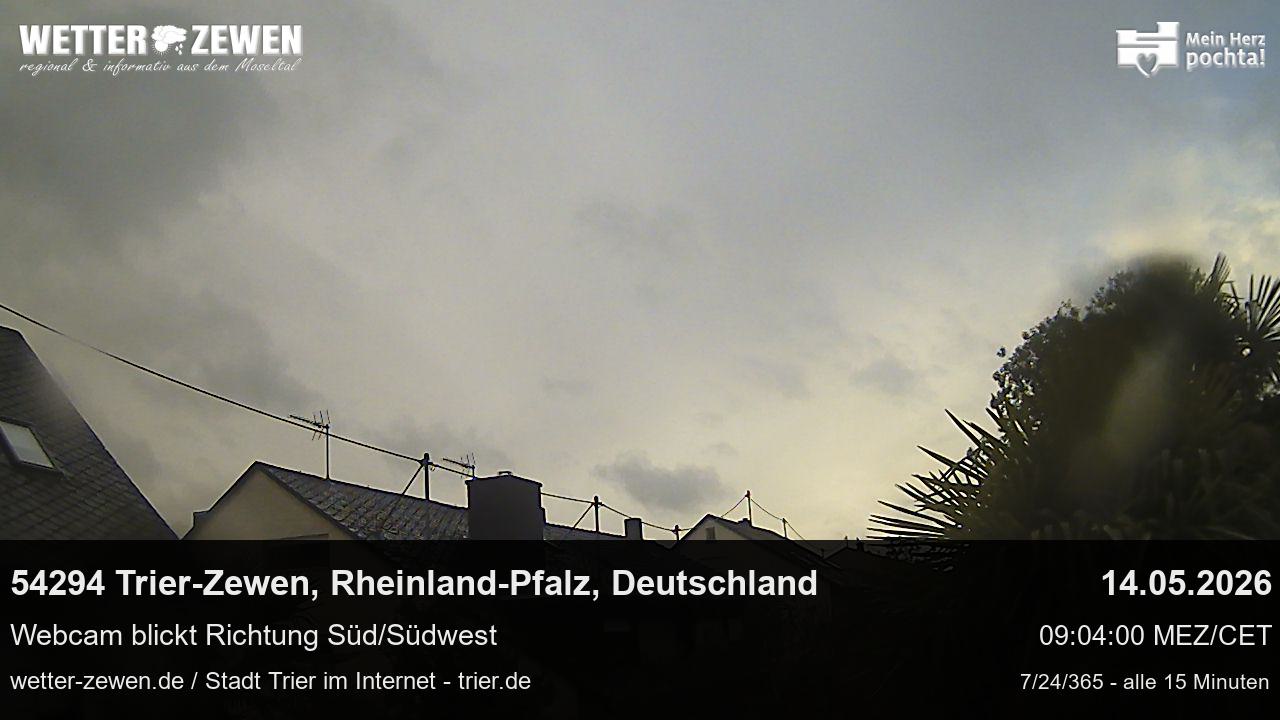 Bild