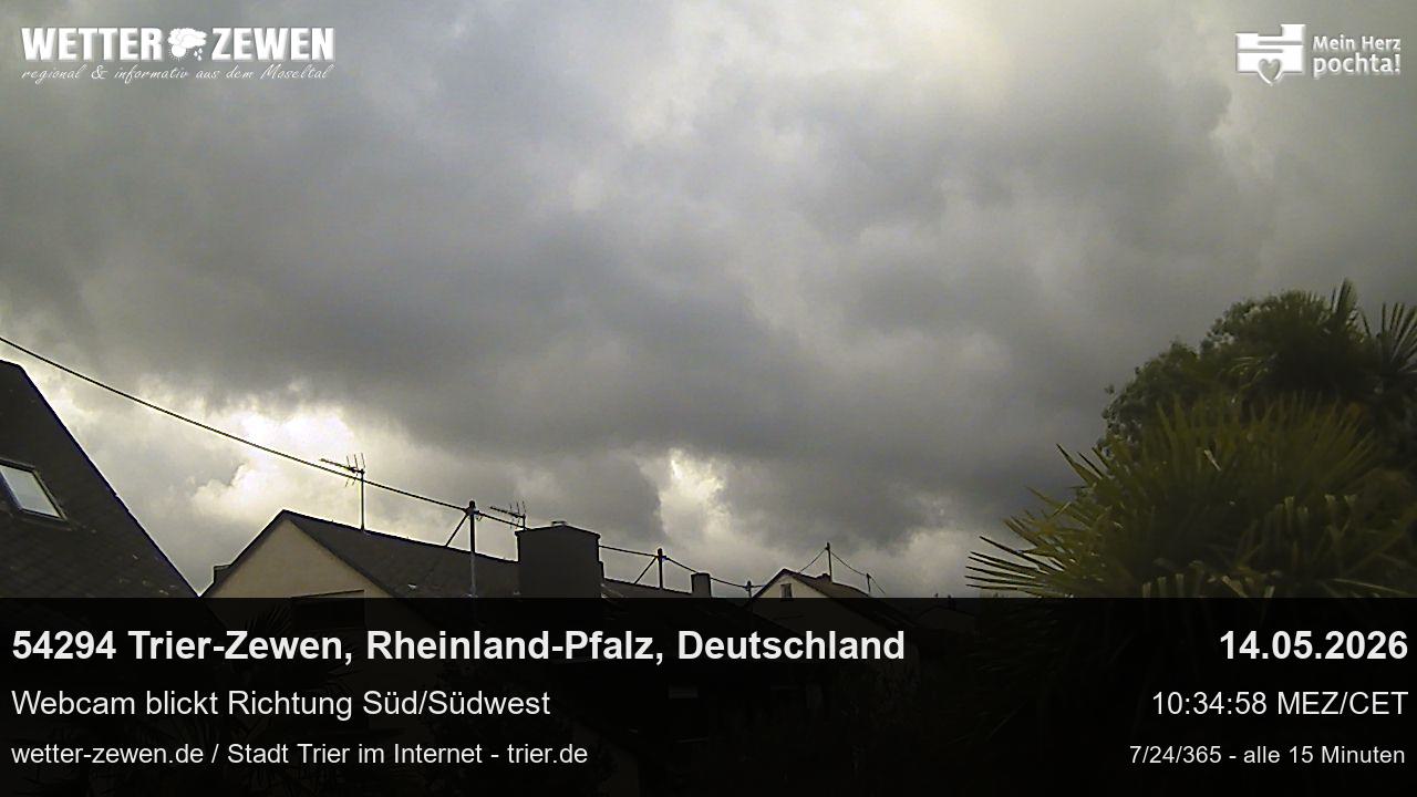 Bild