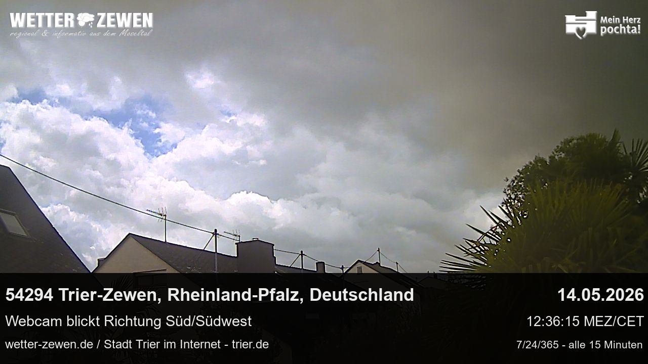 Bild