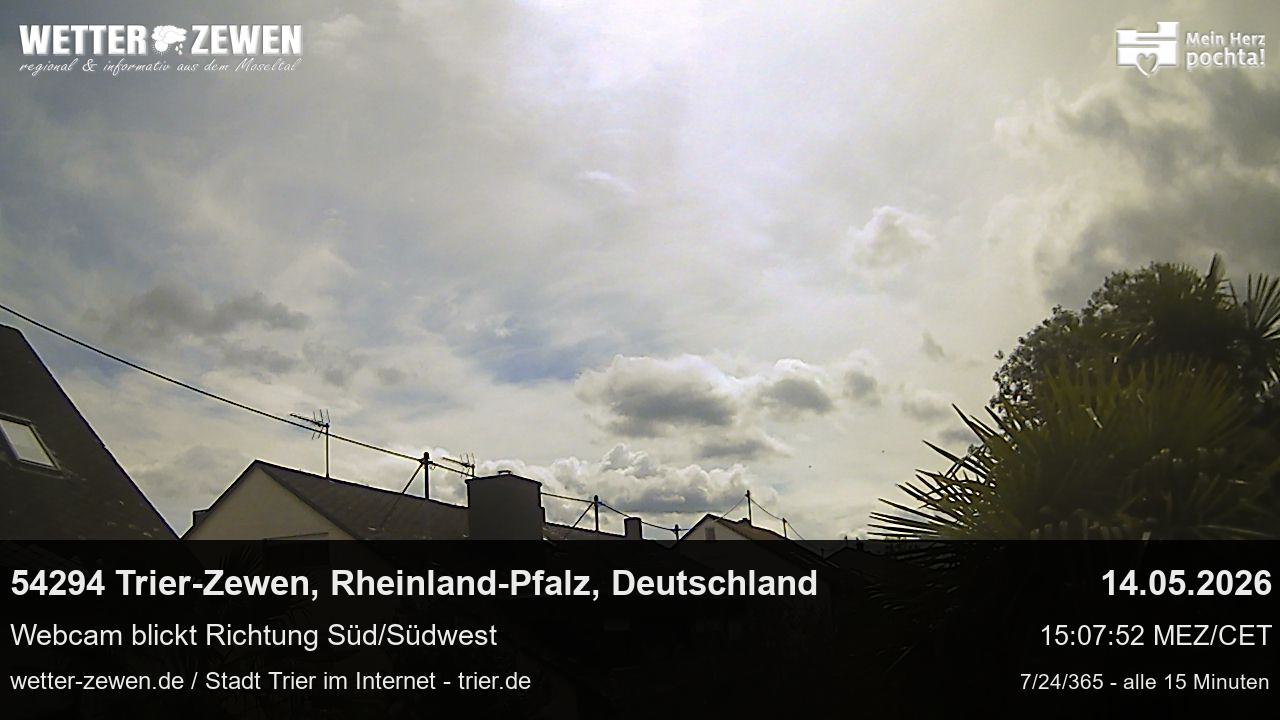 Bild