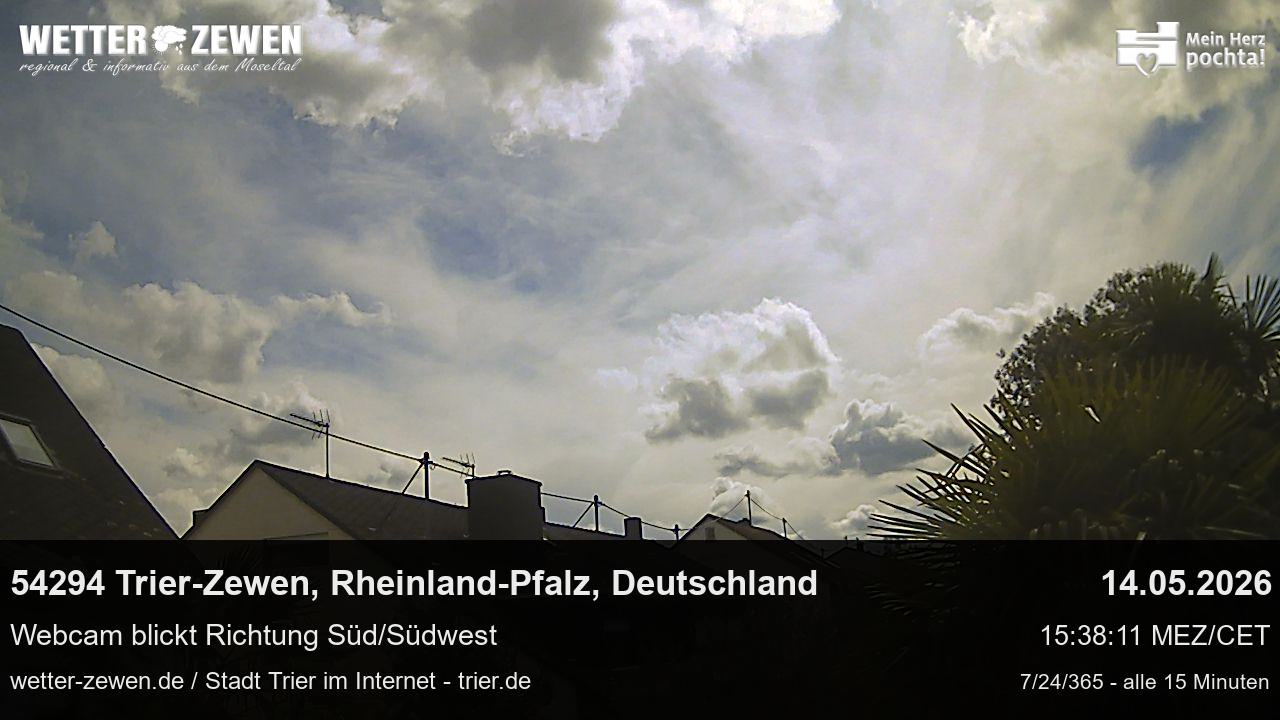 Bild