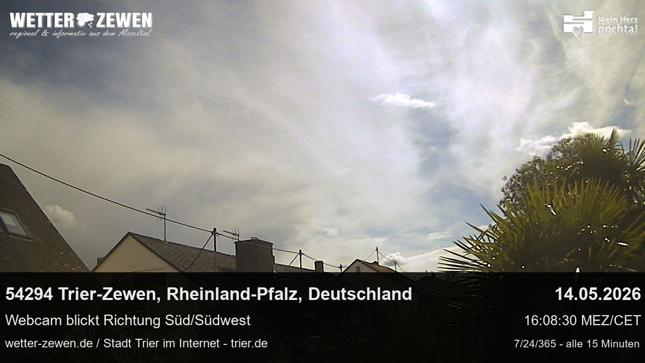 Bild