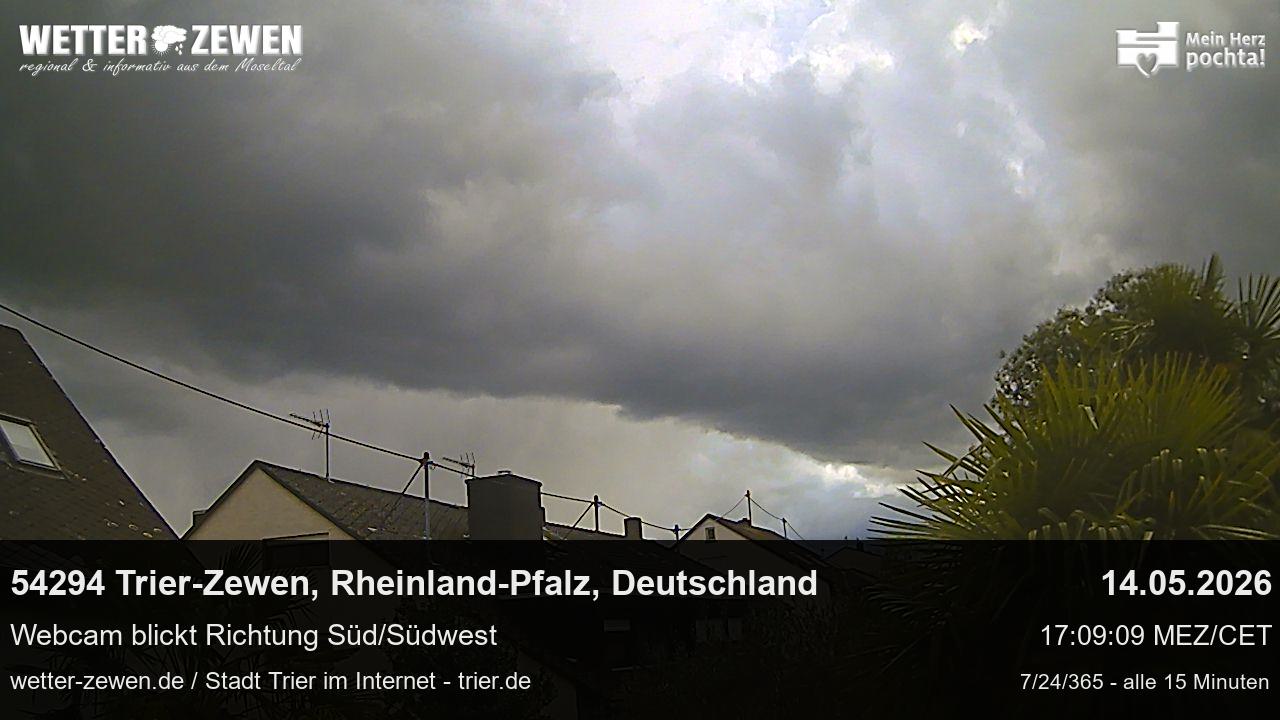 Bild