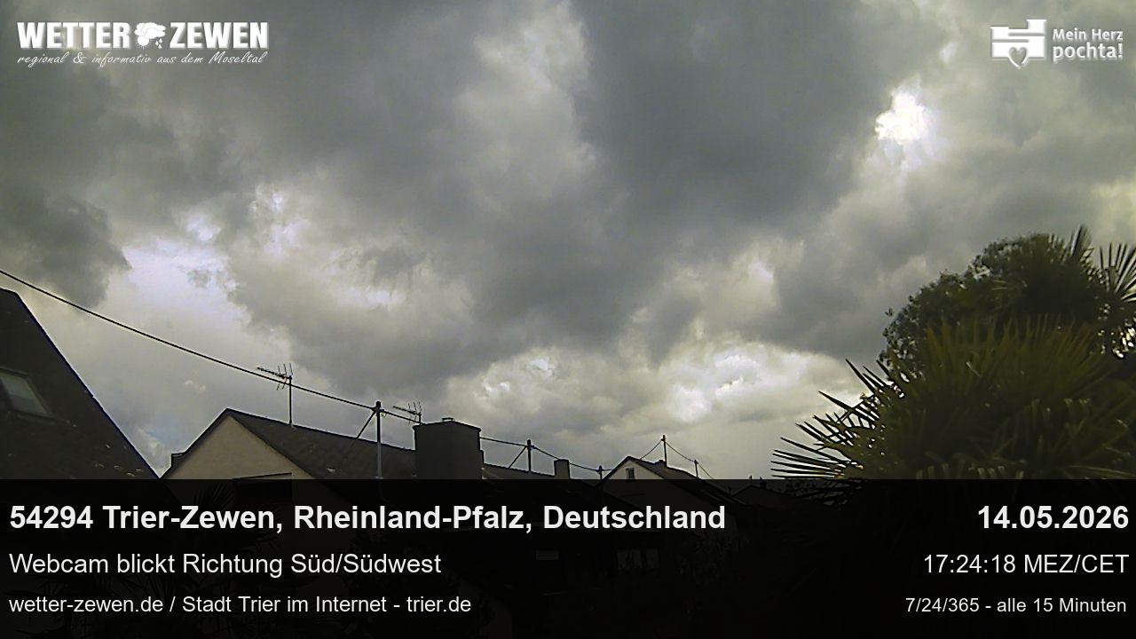 Bild