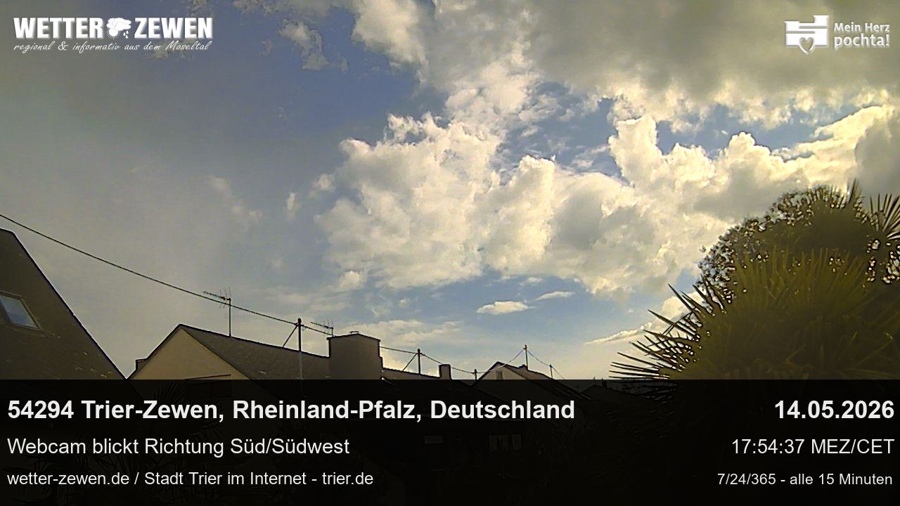 Bild